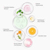 Illustration of various skincare ingredients with corresponding labels on a white background